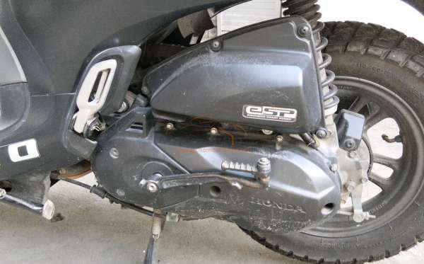 HONDA SCOOPY STYLISH
