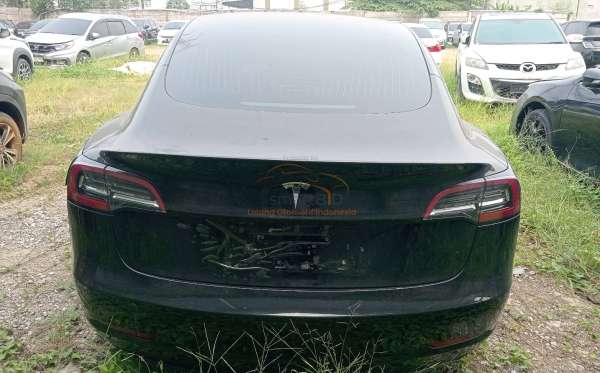 TESLA  TESLA 3