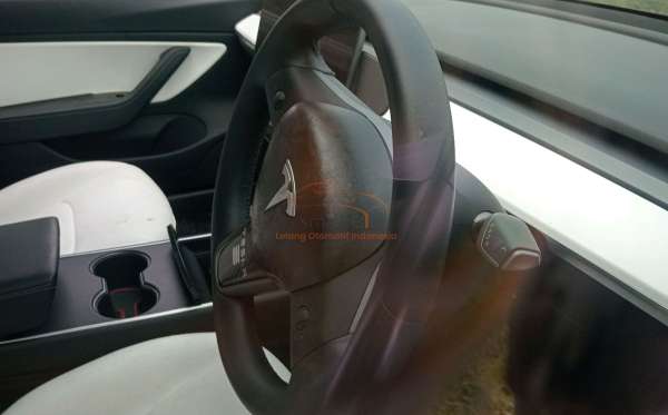 TESLA  TESLA 3