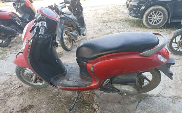 HONDA SCOOPY CW