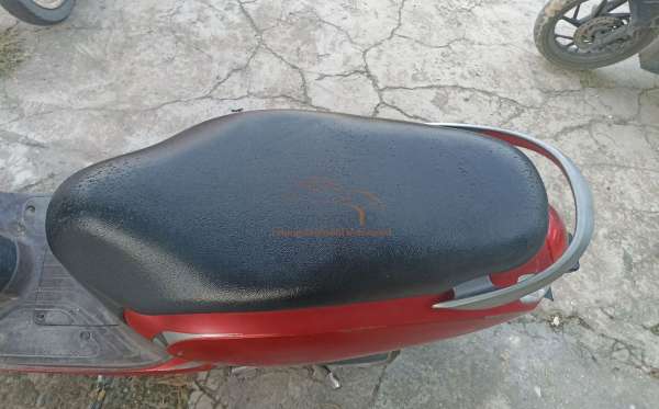 HONDA SCOOPY CW