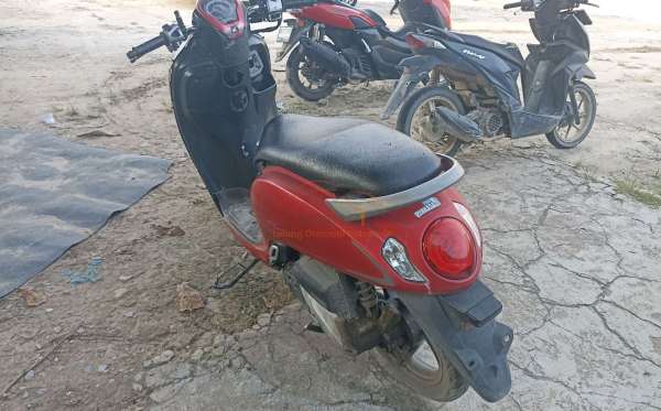 HONDA SCOOPY CW