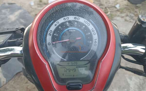 HONDA SCOOPY CW