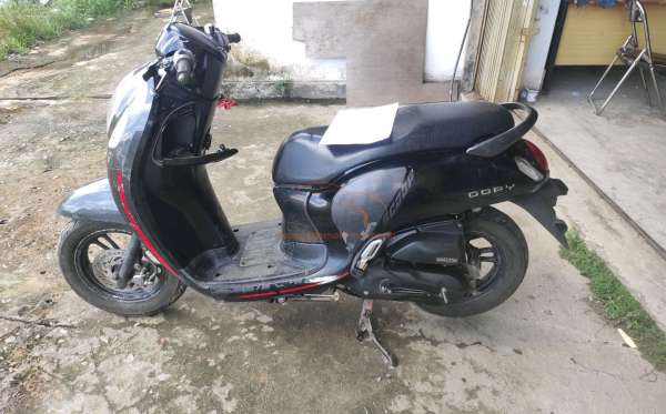 HONDA  SCOOPY