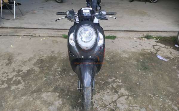 HONDA  SCOOPY
