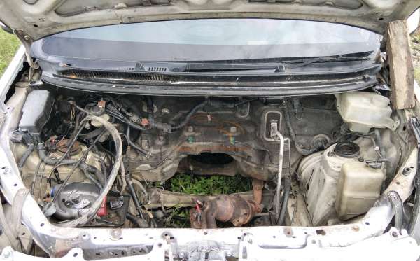 TOYOTA AVANZA