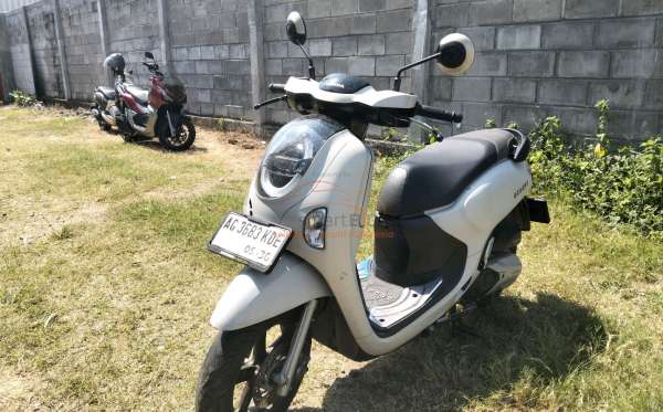 HONDA SCOOPY