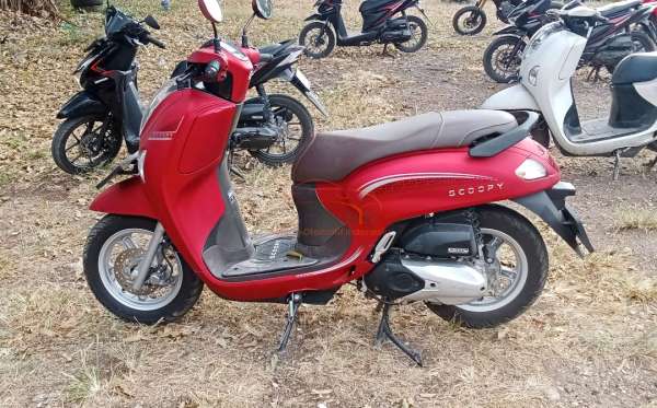HONDA SCOOPY