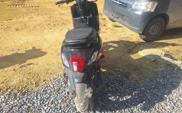 HONDA  GENIO