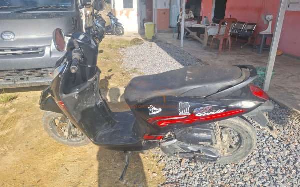 HONDA  GENIO