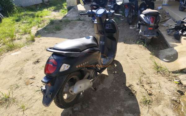 HONDA  SCOOPY