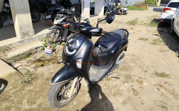 HONDA  SCOOPY