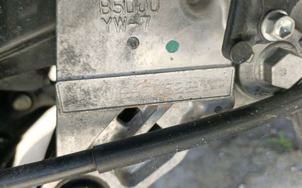 YAMAHA FREEGO