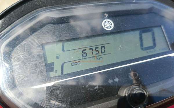 YAMAHA FREEGO