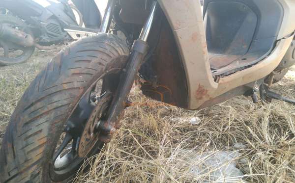 HONDA  GENIO