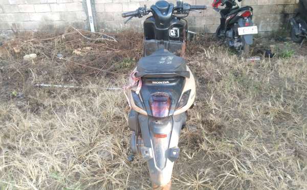 HONDA  GENIO