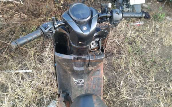 HONDA  GENIO