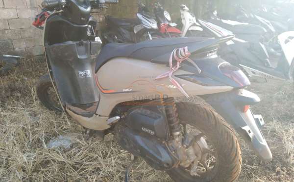 HONDA  GENIO