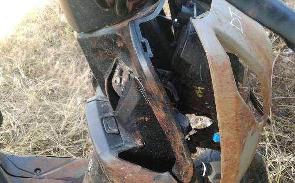 HONDA  GENIO