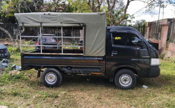 SUZUKI  CARRY  PU
