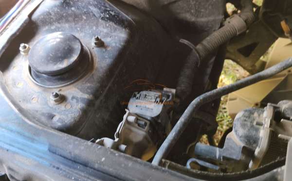 SUZUKI  CARRY  PU