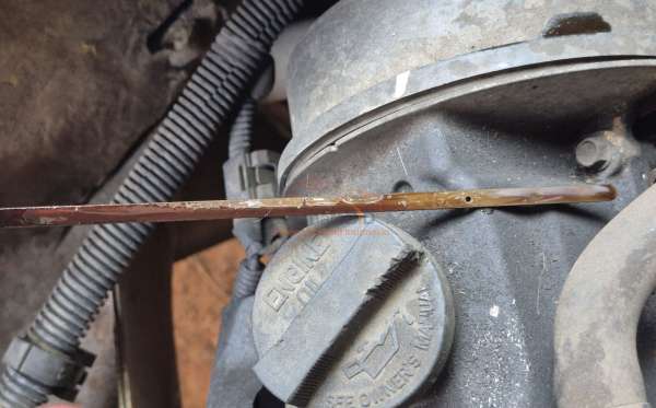 SUZUKI MEGA CARRY PU