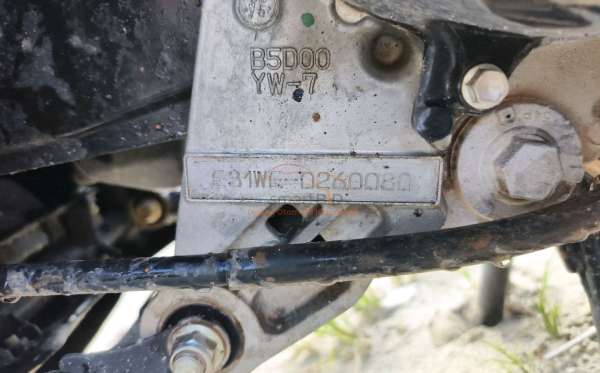 YAMAHA FREEGO