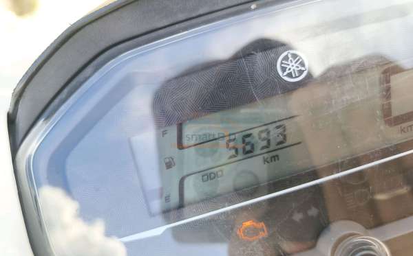 YAMAHA FREEGO