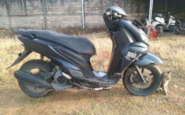 YAMAHA FREEGO