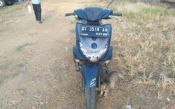 YAMAHA FREEGO