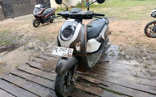 HONDA NEW SCOOPY FASHION