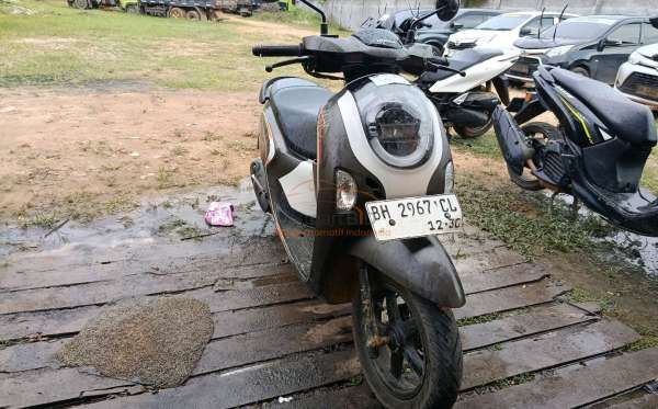 HONDA NEW SCOOPY FASHION