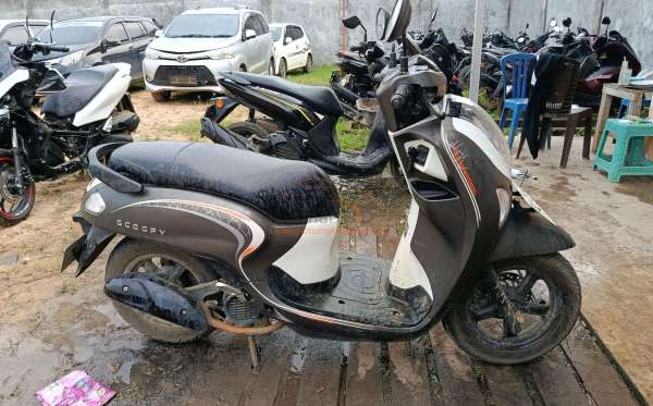 HONDA NEW SCOOPY FASHION