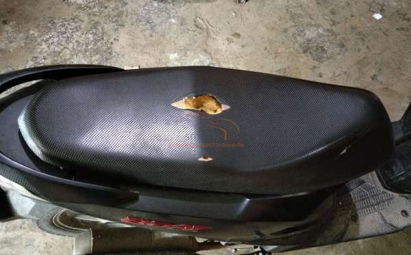 HONDA  BEAT