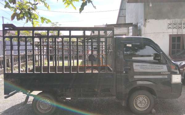 SUZUKI  CARRY  PU