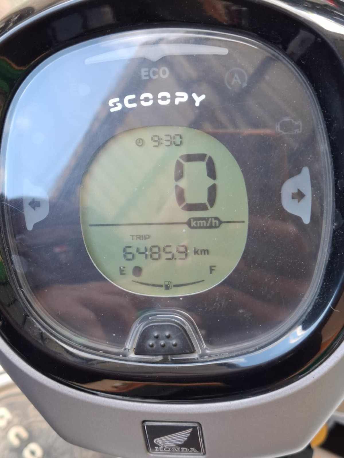 HONDA SCOOPY