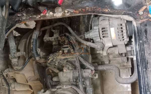 DAIHATSU  GRAN MAX  PICK-UP
