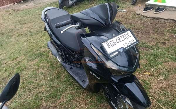 YAMAHA FREEGO