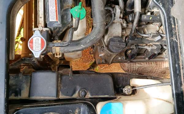 SUZUKI  CARRY  PU