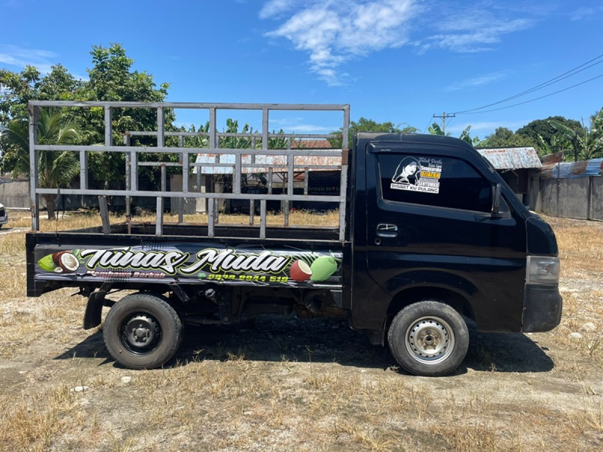 SUZUKI CARRY  PU
