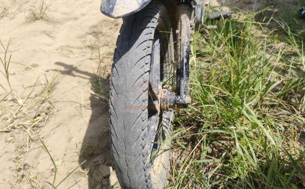HONDA  REVO