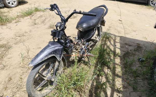 HONDA  REVO