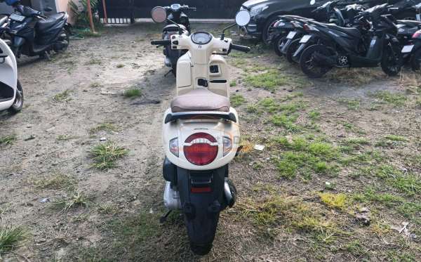 HONDA  SCOOPY