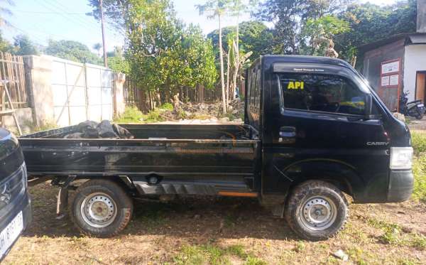 SUZUKI  CARRY  PU