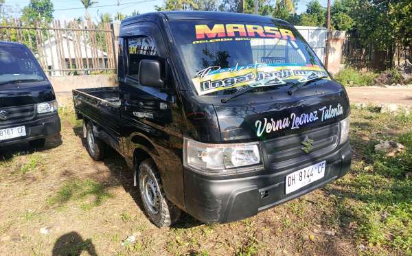 SUZUKI  CARRY  PU