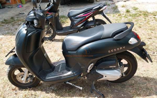 HONDA SCOOPY