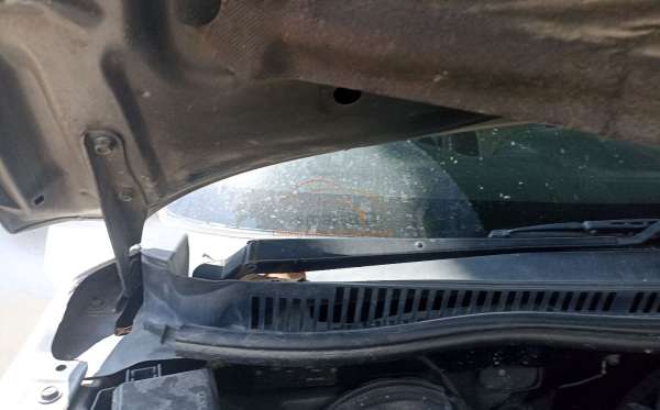 DAIHATSU TERIOS TX