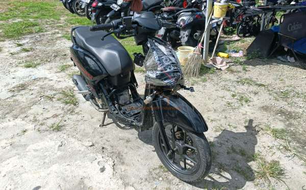 HONDA  GENIO