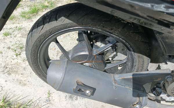 HONDA  GENIO