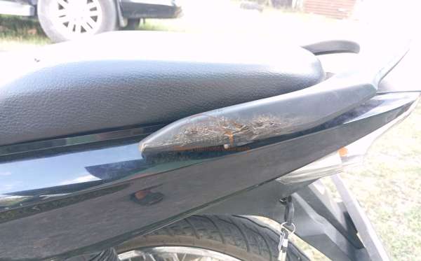 HONDA REVO FIT